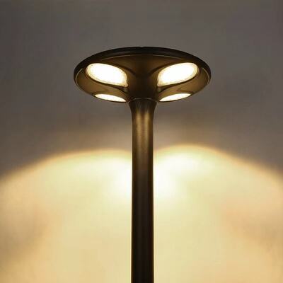 Solar Street Lights Offering Bright LED Lighting and Sustainable Energy Solutions for Street and Pathway Illumination