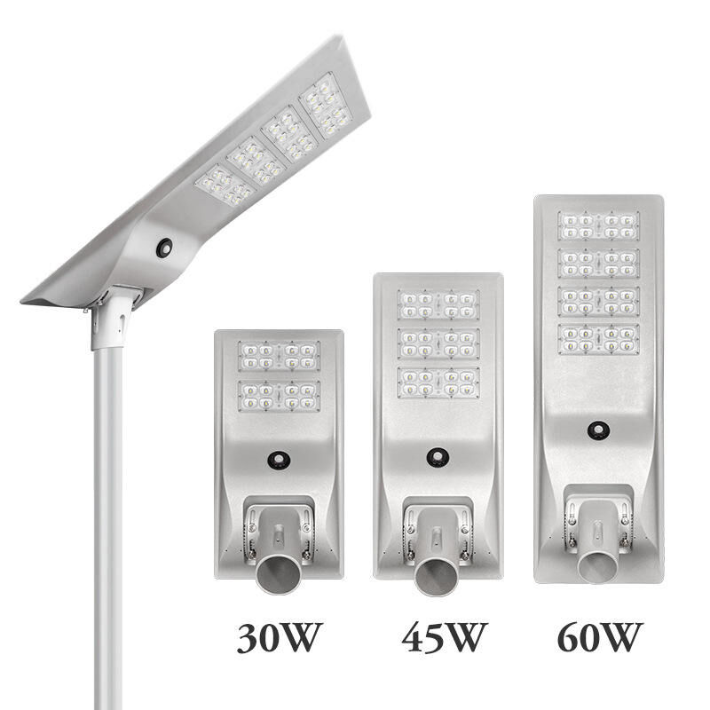 Solar Street Lights Featuring High Illumination LED Technology and Durable Weatherproof Construction for Rural Road Lighting